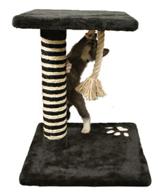 Kitten Post